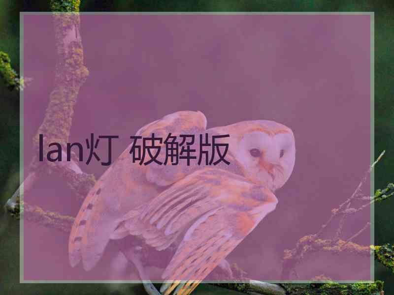 lan灯 破解版