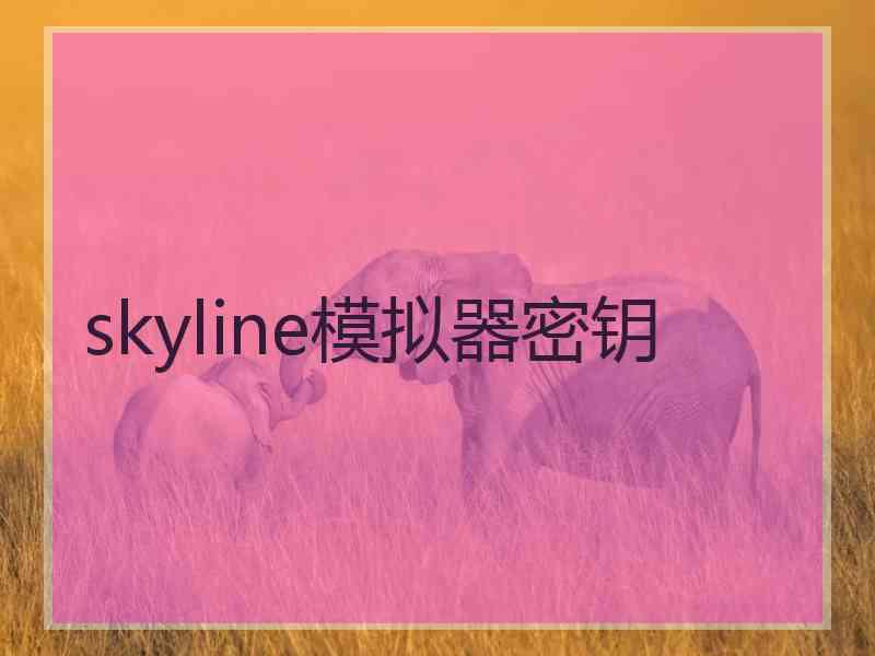 skyline模拟器密钥