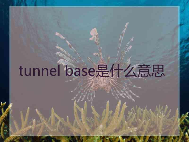 tunnel base是什么意思