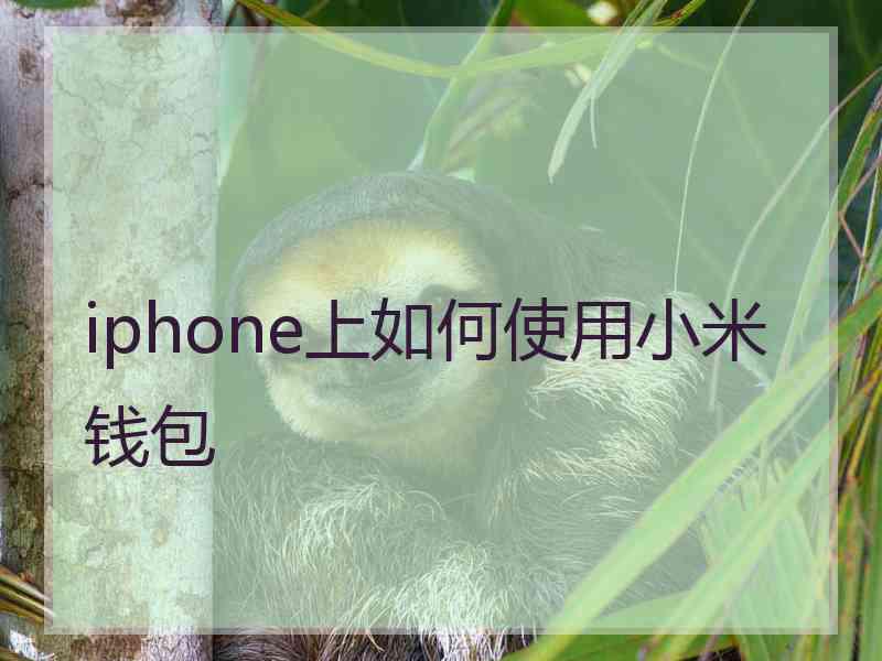 iphone上如何使用小米钱包