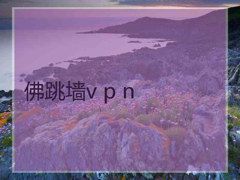 佛跳墙v p n