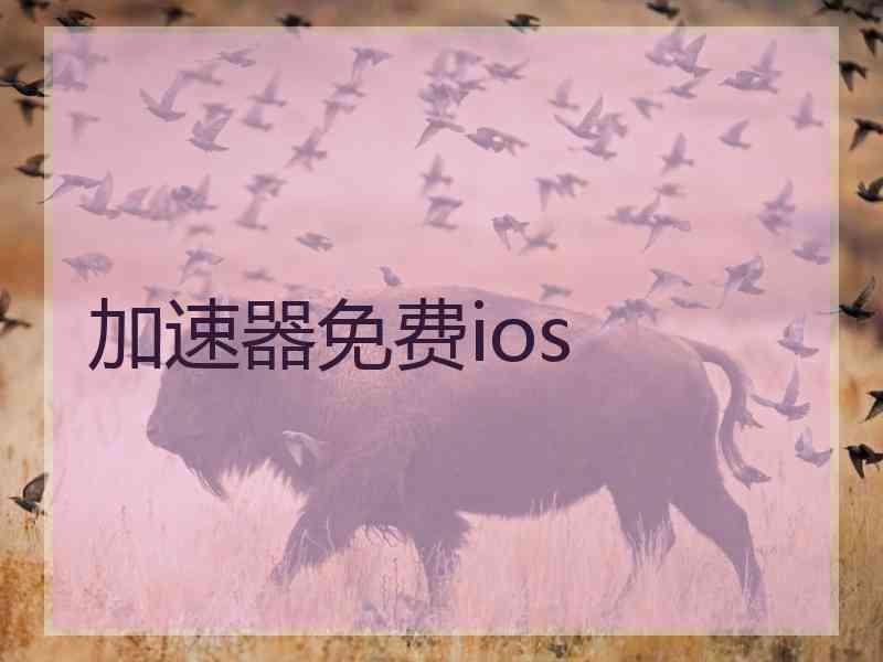 加速器免费ios