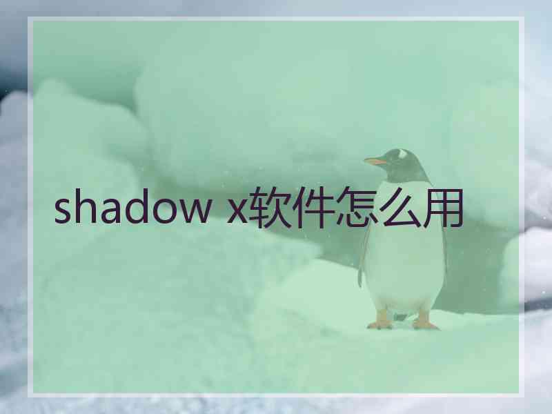 shadow x软件怎么用