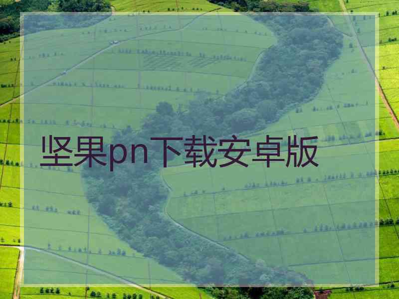 坚果pn下载安卓版