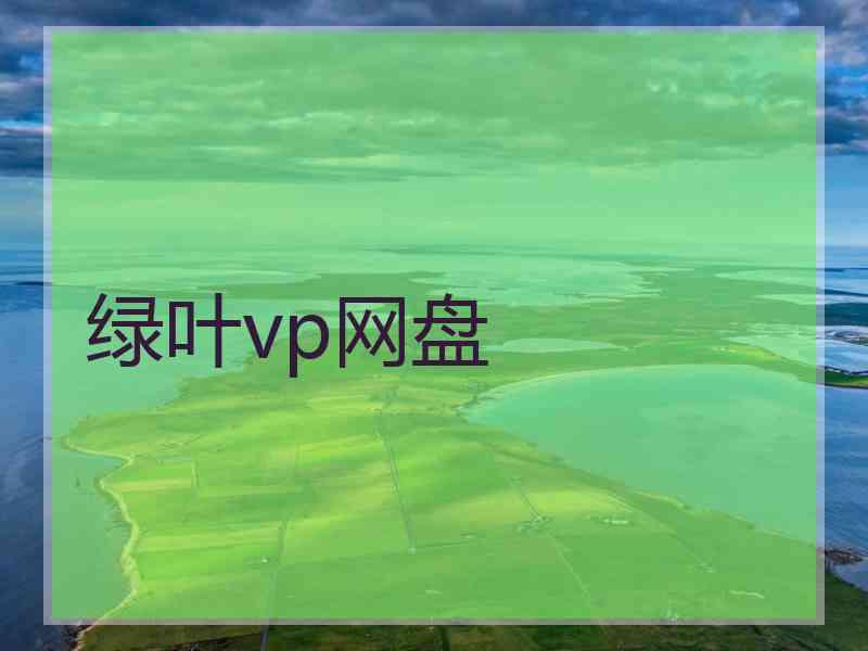 绿叶vp网盘