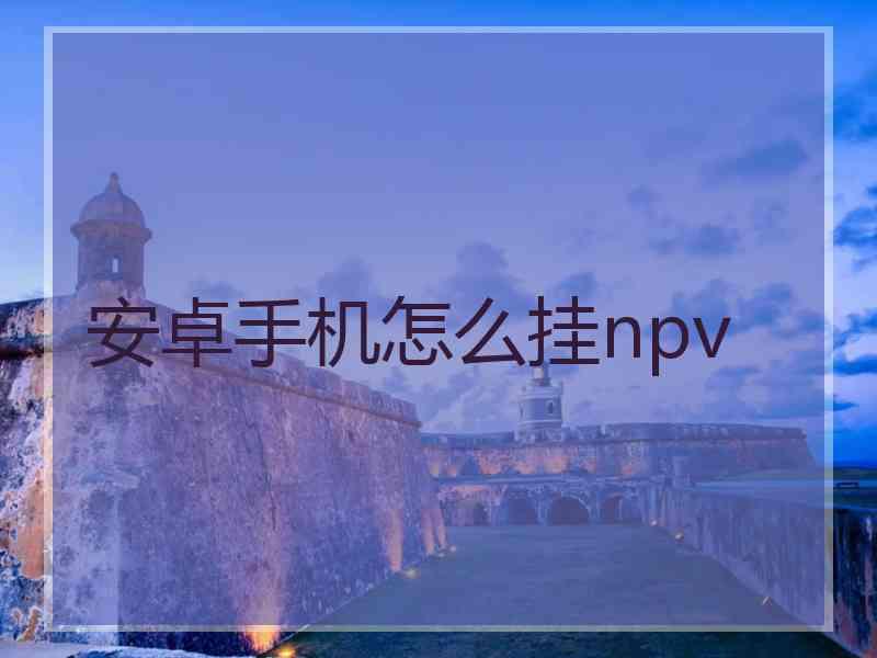 安卓手机怎么挂npv