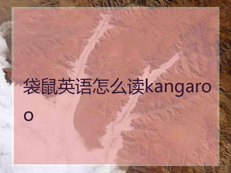 袋鼠英语怎么读kangaroo