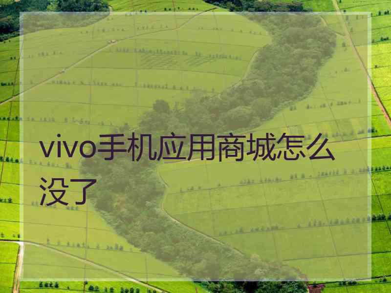 vivo手机应用商城怎么没了