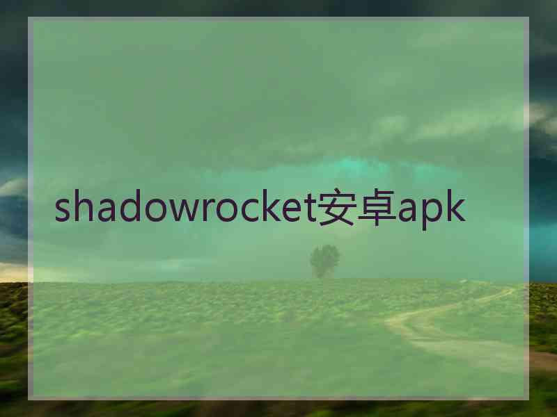 shadowrocket安卓apk