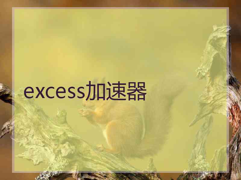 excess加速器