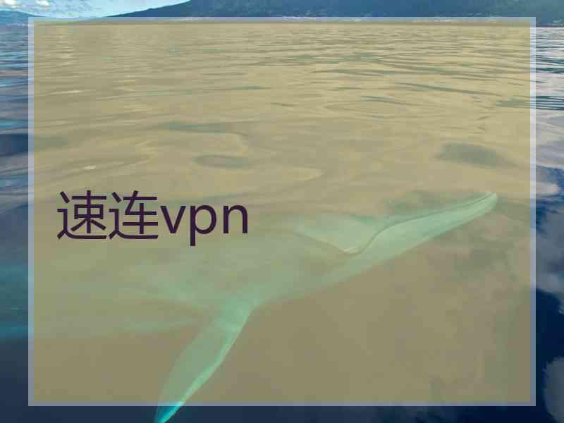 速连vpn