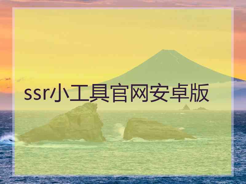 ssr小工具官网安卓版