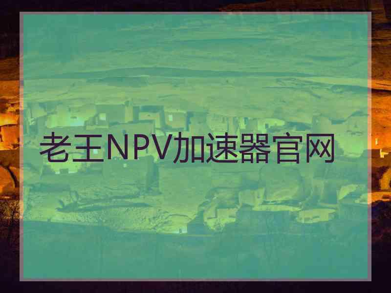 老王NPV加速器官网