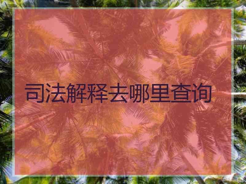 司法解释去哪里查询