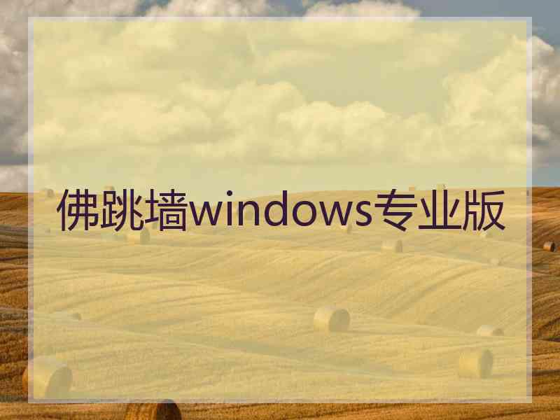 佛跳墙windows专业版