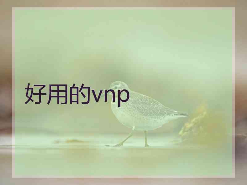 好用的vnp