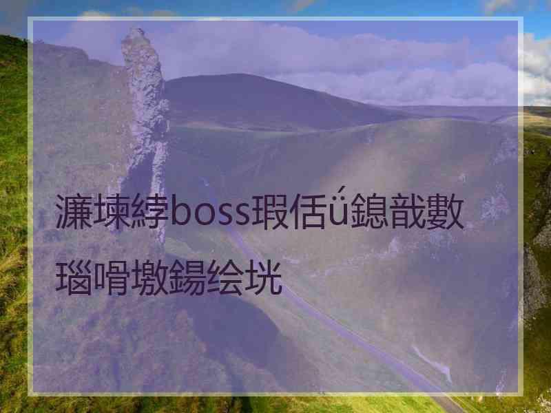 濂堜綍boss瑕佸ǘ鎴戠數瑙嗗墽鍚绘垙