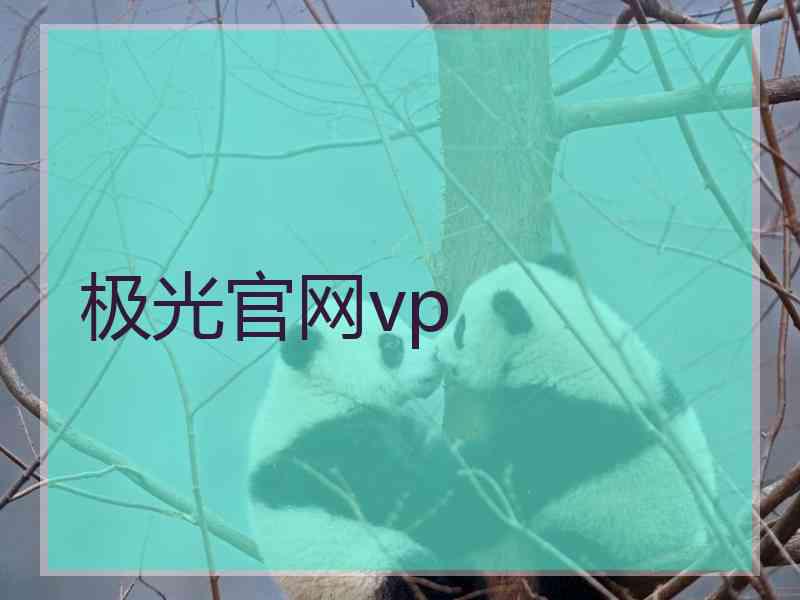 极光官网vp