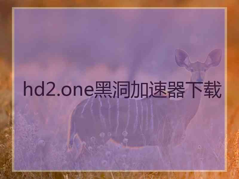 hd2.one黑洞加速器下载