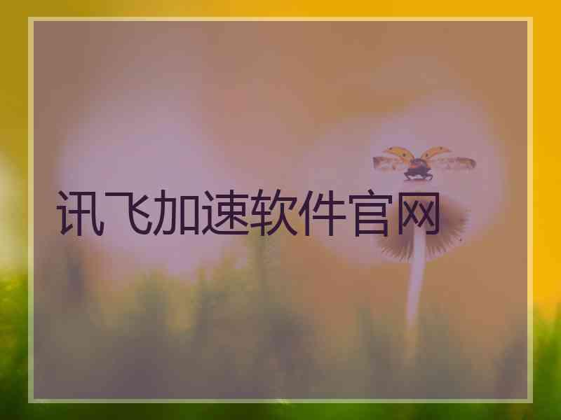 讯飞加速软件官网