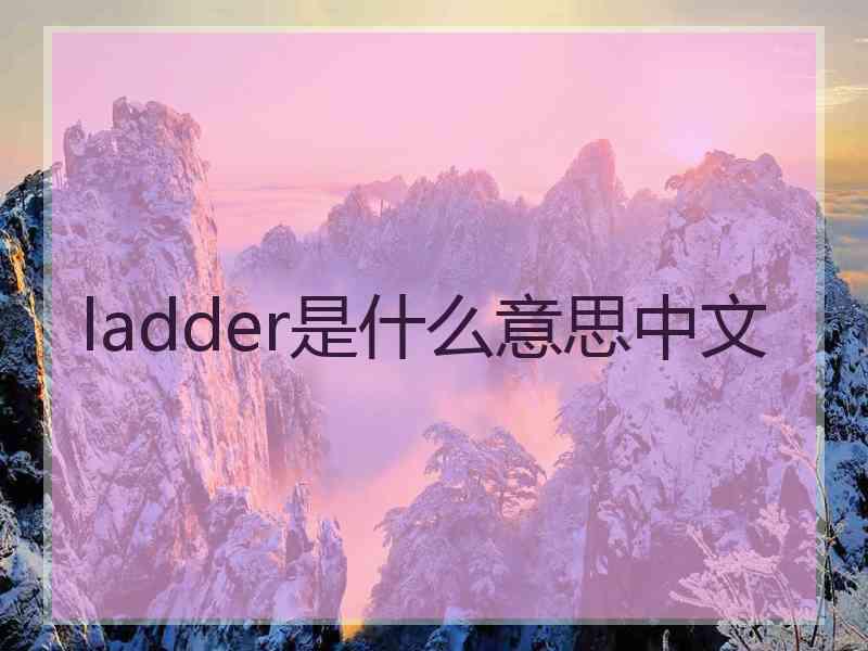 ladder是什么意思中文