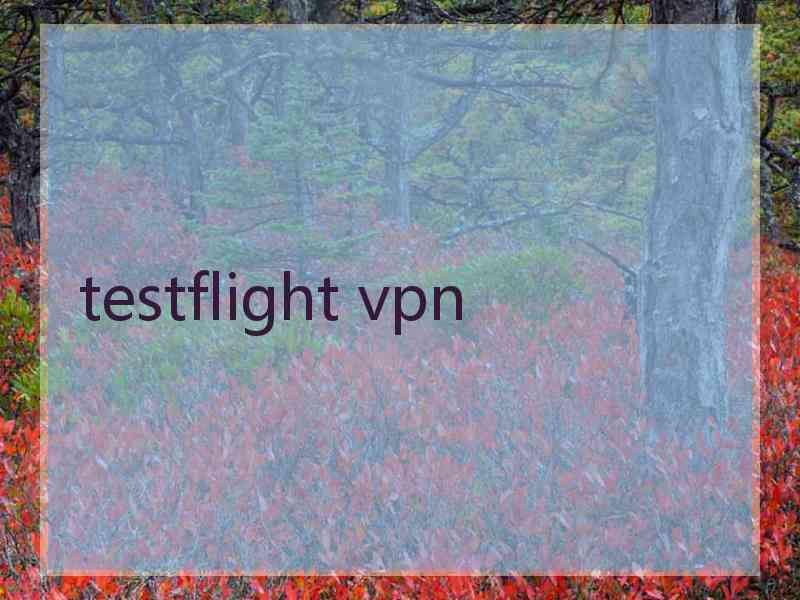 testflight vpn