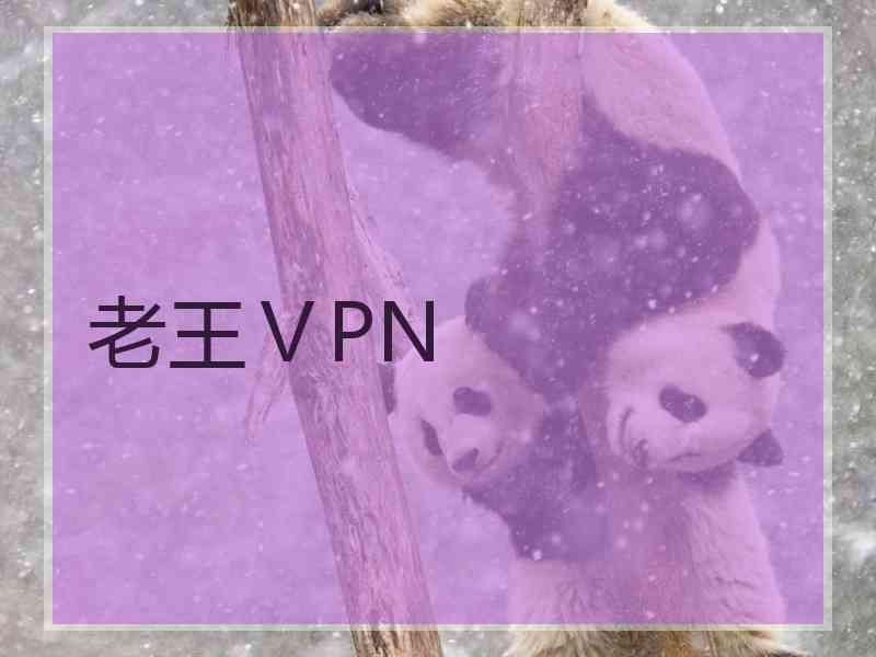 老王ⅤPN