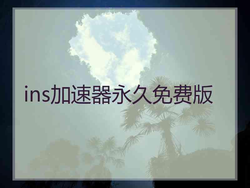 ins加速器永久免费版