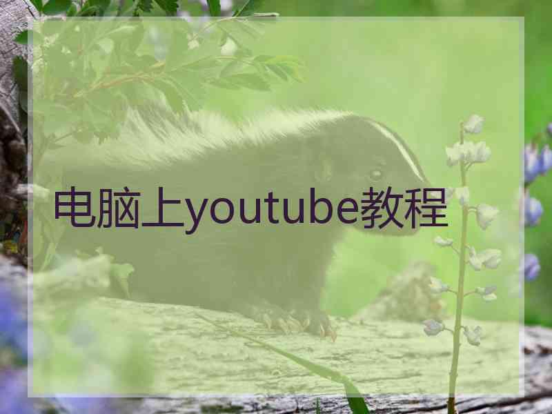 电脑上youtube教程