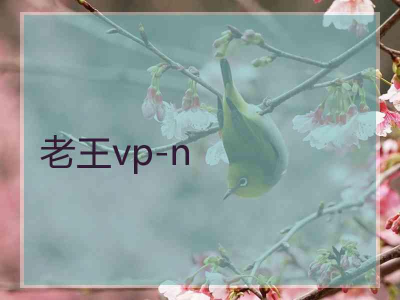 老王vp-n