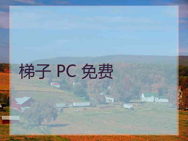 梯子 PC 免费