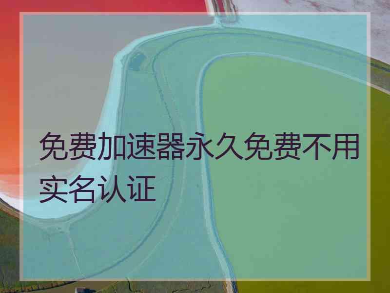 免费加速器永久免费不用实名认证