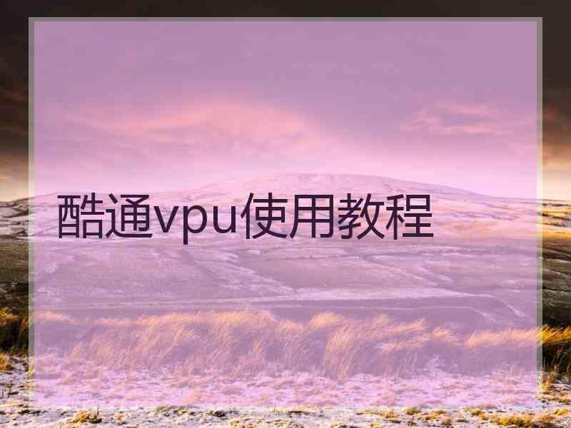 酷通vpu使用教程