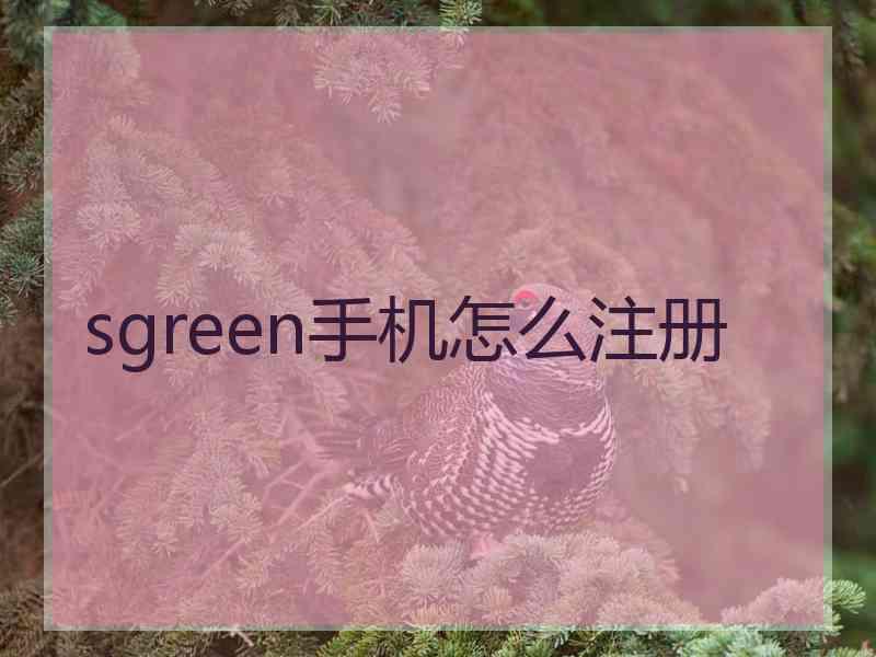 sgreen手机怎么注册