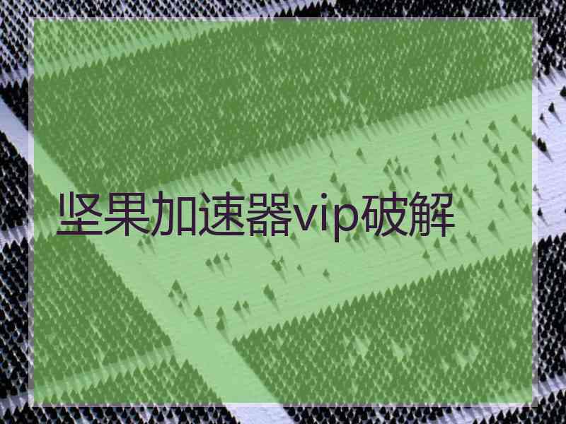 坚果加速器vip破解