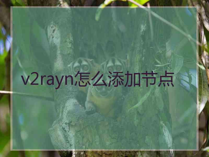 v2rayn怎么添加节点