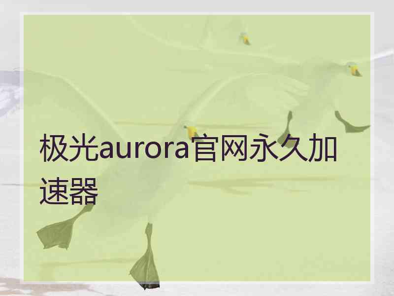 极光aurora官网永久加速器