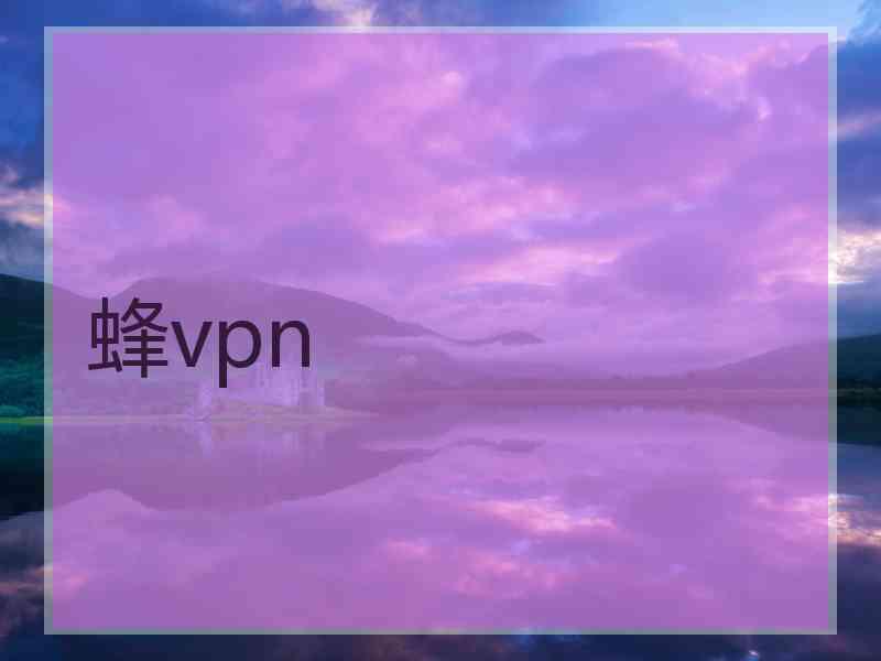 蜂vpn