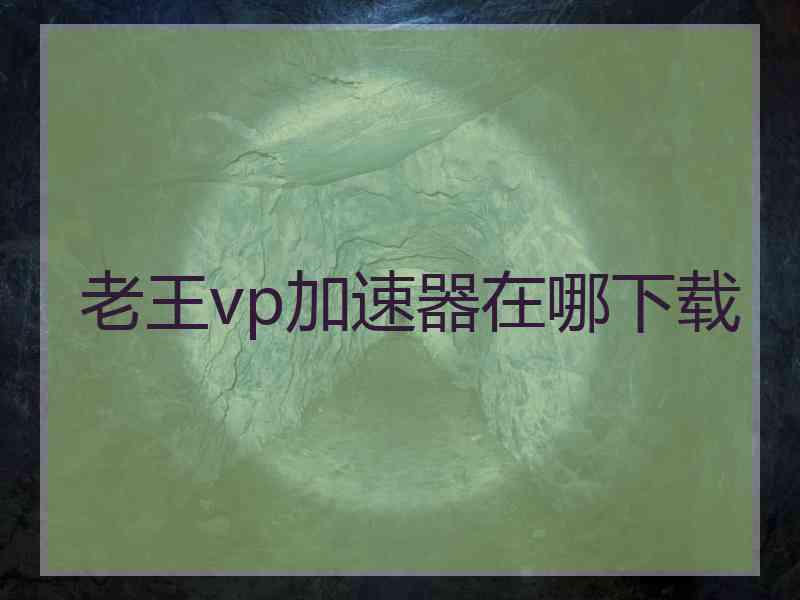 老王vp加速器在哪下载