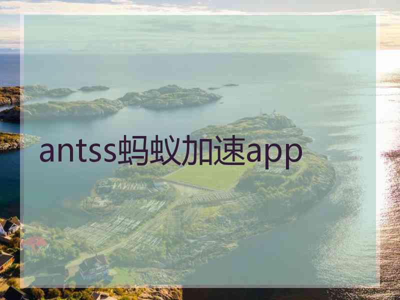 antss蚂蚁加速app