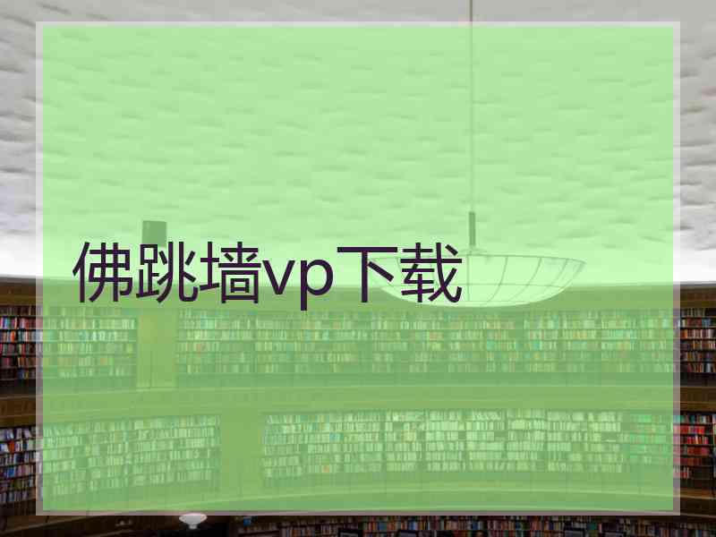 佛跳墙vp下载