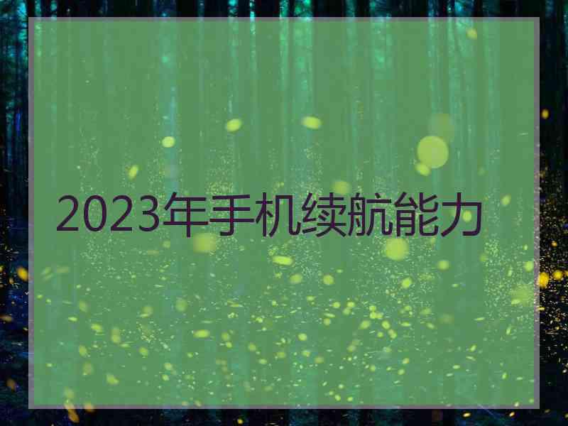 2023年手机续航能力