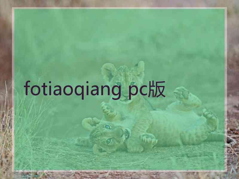 fotiaoqiang pc版