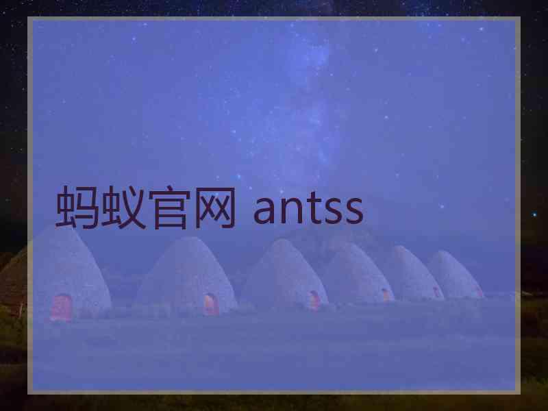 蚂蚁官网 antss