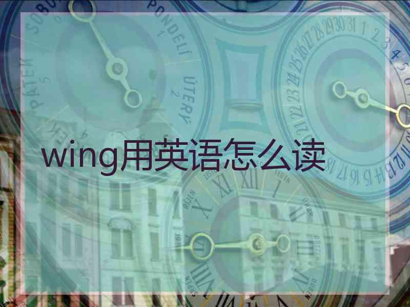 wing用英语怎么读