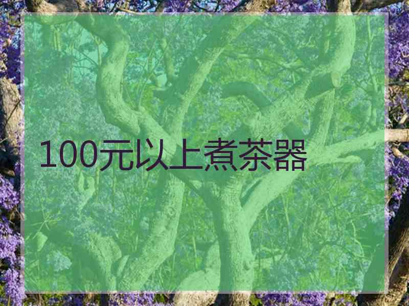 100元以上煮茶器