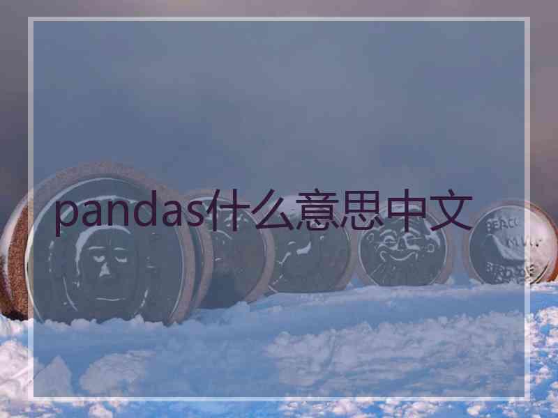 pandas什么意思中文