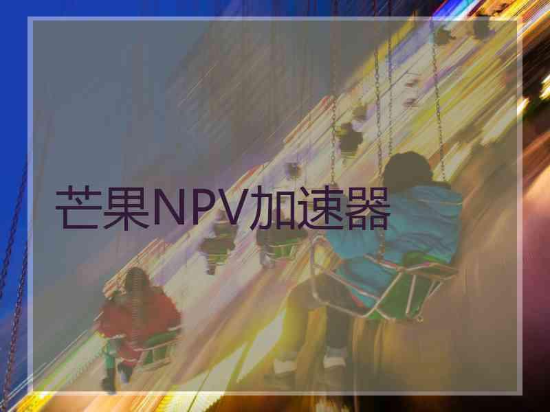 芒果NPV加速器