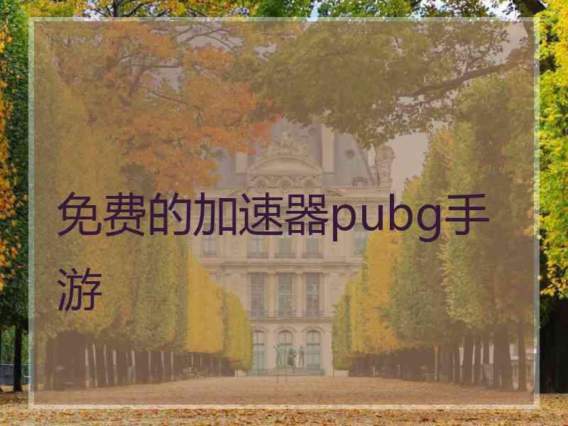 免费的加速器pubg手游