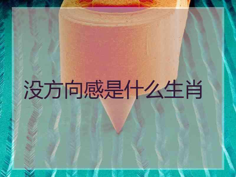 没方向感是什么生肖